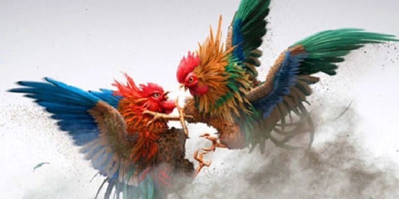 Chiến lược đặt cược hiệu quả