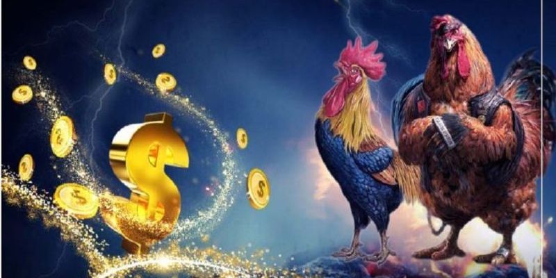 Lợi ích khi tham gia đá gà tại 88GOALS