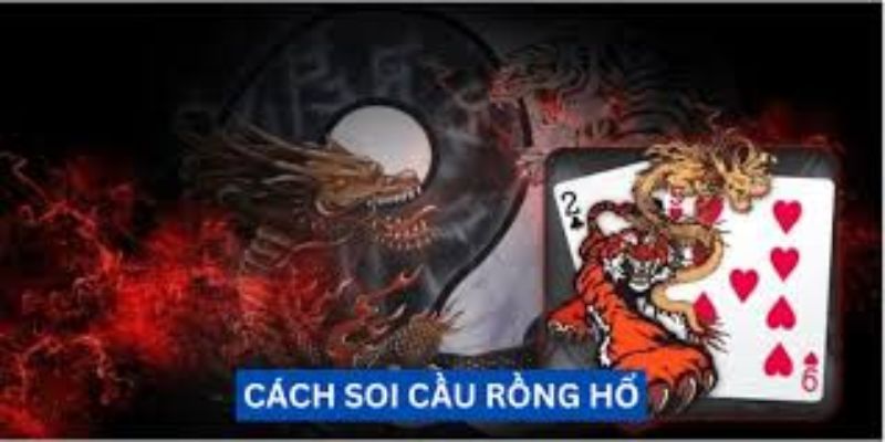 Cách soi cầu rồng hổ Những lưu ý quan trọng cách soi cầu rồng hổ